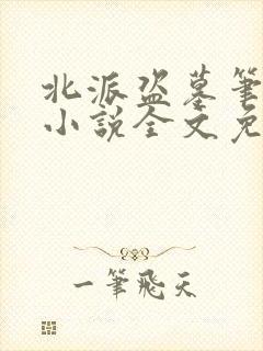 北派盗墓笔记 小说全文免费阅读封面