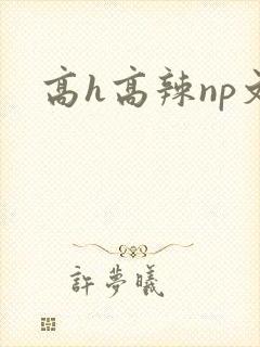 高h高辣np文