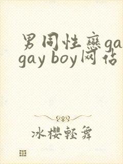 男同性恋gaygay boy网站