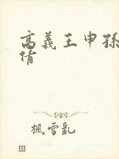 高义王申孙敏孙倩