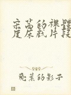 宋茜的裸体大尺度床戏片段