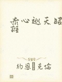 赤心巡天昭王是谁封面