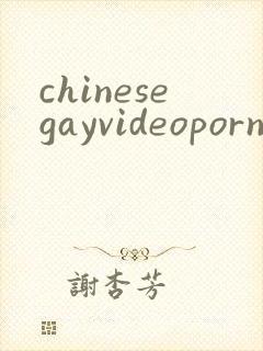 chinesegayvideoporn