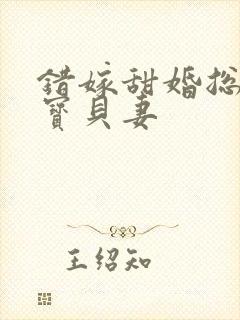 错嫁甜婚总裁的宝贝妻