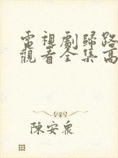 电视剧归路免费观看全集高清封面