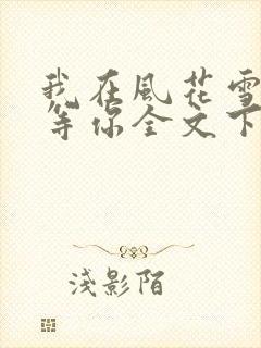 我在风花雪月里等你全文下载