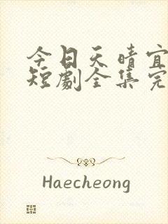 今日天晴宜爱你短剧全集完整版免费封面
