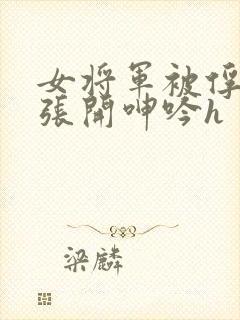 女将军被俘双腿张开呻吟h封面