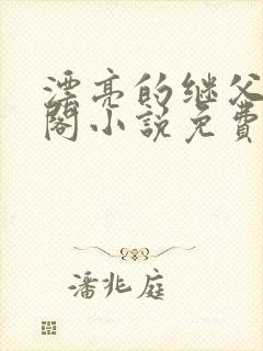 漂亮的继父笔趣阁小说免费阅读