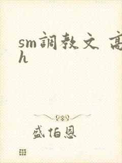 sm调教文 高h