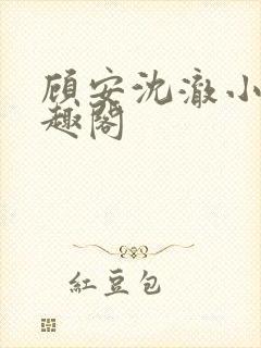 顾安沈澈小说笔趣阁