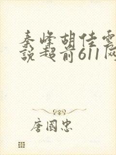 秦峰胡佳云的小说超前611网