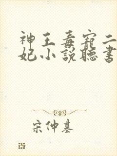 神王毒宠二嫁王妃小说听书