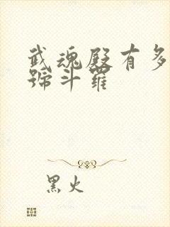 武魂殿有多少封号斗罗