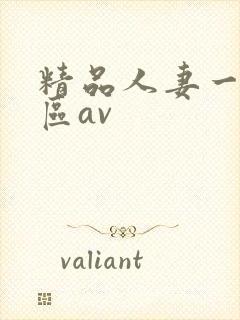精品人妻一区二区av
