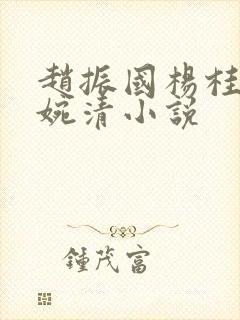 赵振国杨桂芳宋婉清小说