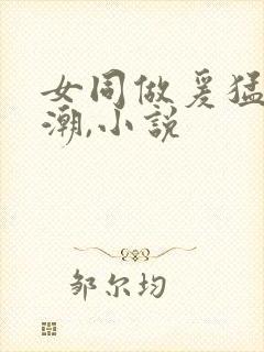 女同做爰猛烈高潮,小说封面