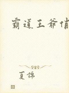 霸道王爷俏王妃