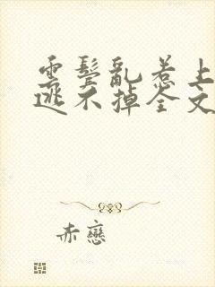 云鬓乱惹上权臣逃不掉全文版