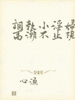 调教小淫妇失禁高潮不止视频