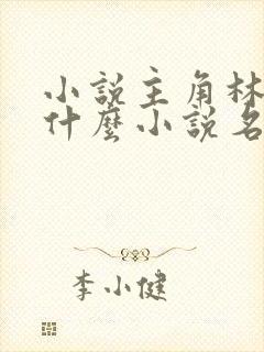 小说主角林羽是什么小说名
