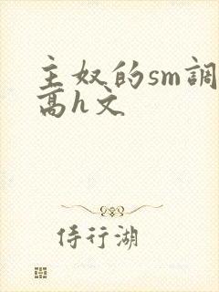 主奴的sm调教高h文封面
