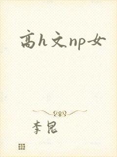 高h文np女