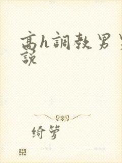 高h调教男男小说