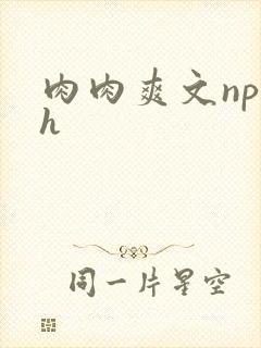 肉肉爽文np高h封面