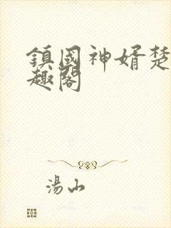 镇国神婿楚尘笔趣阁