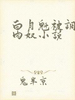 白月魁被调教成肉奴小说