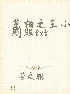 万相之王小说未删版txt