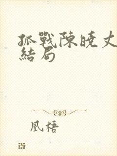 孤战陈晓丈夫的结局封面