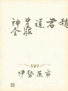 神农道君赵兴完全版