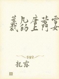 叶凡唐若雪女总裁的上门女婿