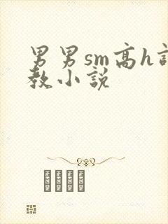男男sm高h调教小说