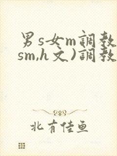 男s女m调教(sm,h文)调教小乳
