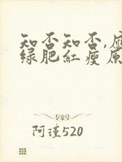 知否知否,应是绿肥红瘦原著小说