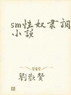 sm性奴隶调教小说