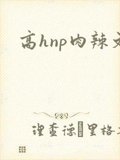 高hnp肉辣文