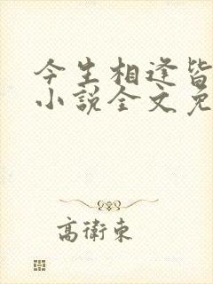 今生相逢皆是错小说全文免费阅读