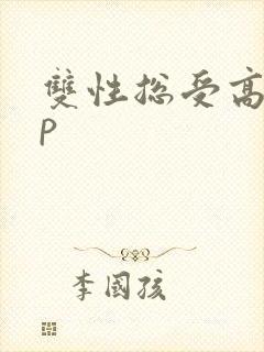 双性总受高hnp
