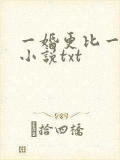 一婚更比一婚高小说txt