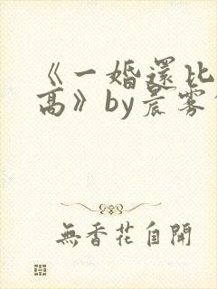 《一婚还比一婚高》by晨雾的光