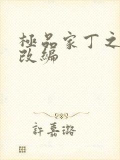 极品家丁之黑暗改编