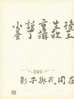 小说重生后我娇养了摄政王小说