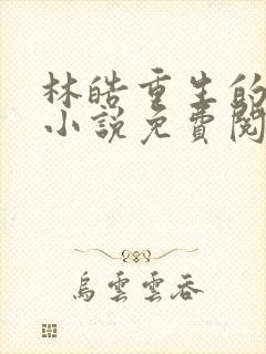 林皓重生的官场小说免费阅读
