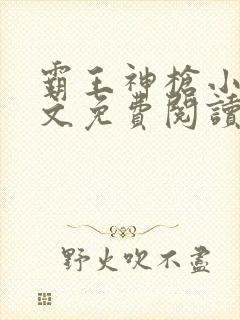 霸王神枪小说全文免费阅读无删减封面