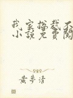 我家总裁不回家小说免费阅读