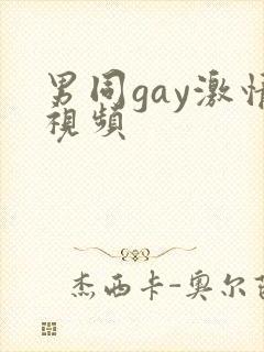 男同gay激情视频